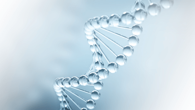 DNA