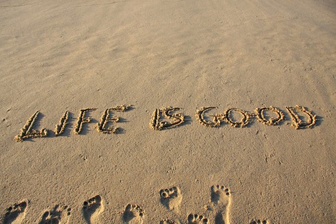© Barbara Helgason |lifeisgood22886851