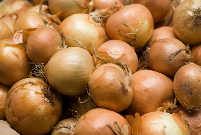 Netherlnds' onion exports