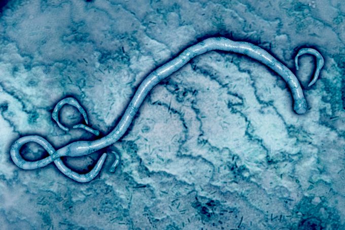 ebola © Ingridneumann