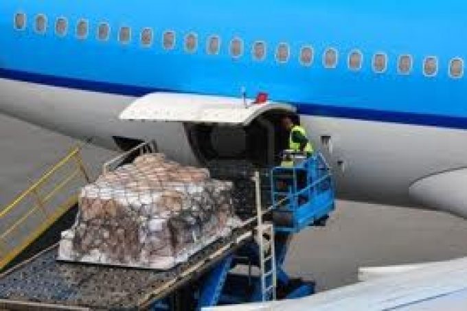 air-cargo-loading