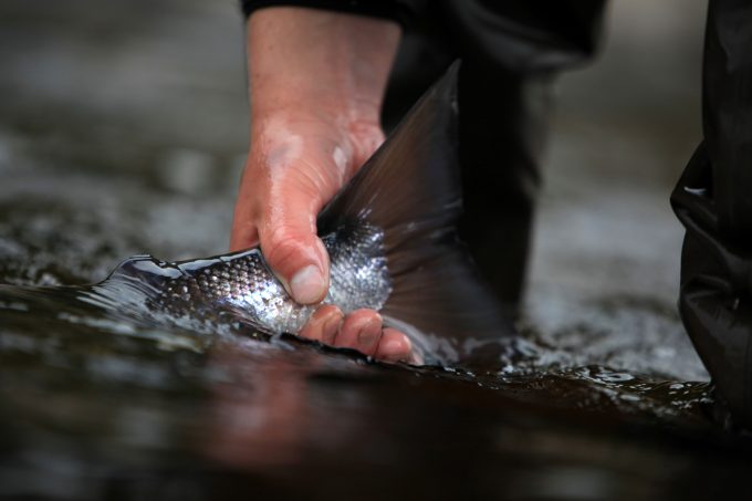© Flyfishingnation 21064103