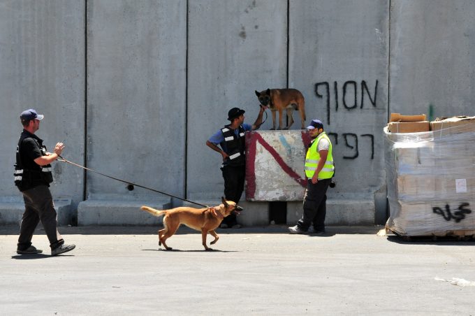 sniffer dog © Rafael Ben-ari