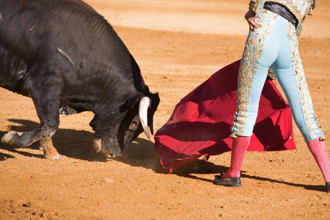 Bullfighter with the Cape in the Bullfight, Spain