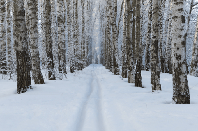 Winter is here