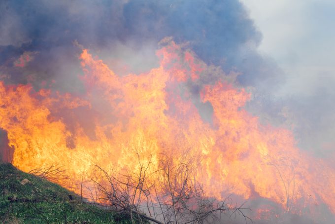 France Wildfires