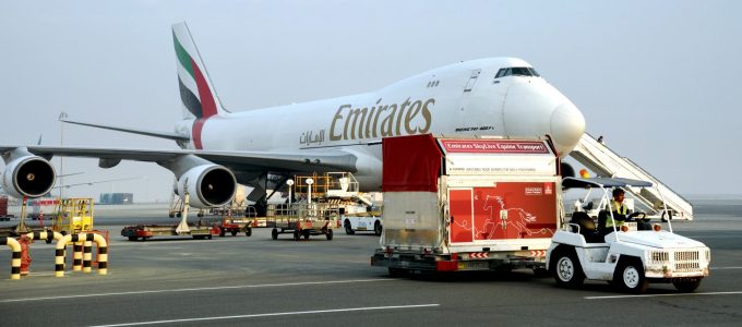 Emirates-SkyCargo-brings-champion-racehorses-to-Dubai