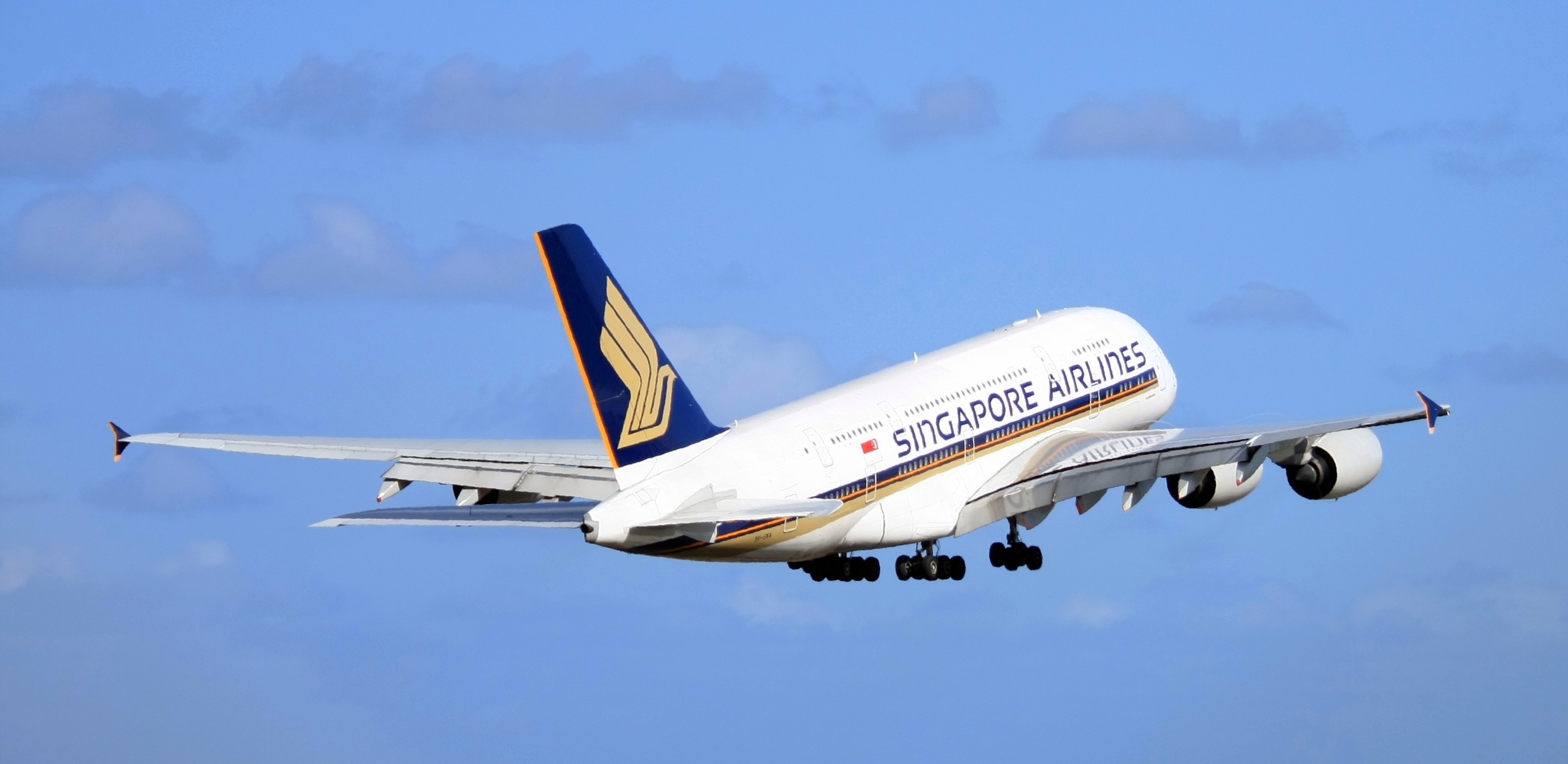 Sia Cargo Gets A Higher Profile After Flying Back Into The Black The Loadstar