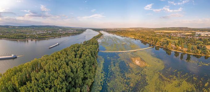 Rhine in 2022 Drought Photo 253555163 © Longo68 Dreamstime.com