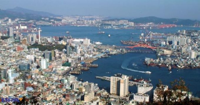 Port of Busan Panorama