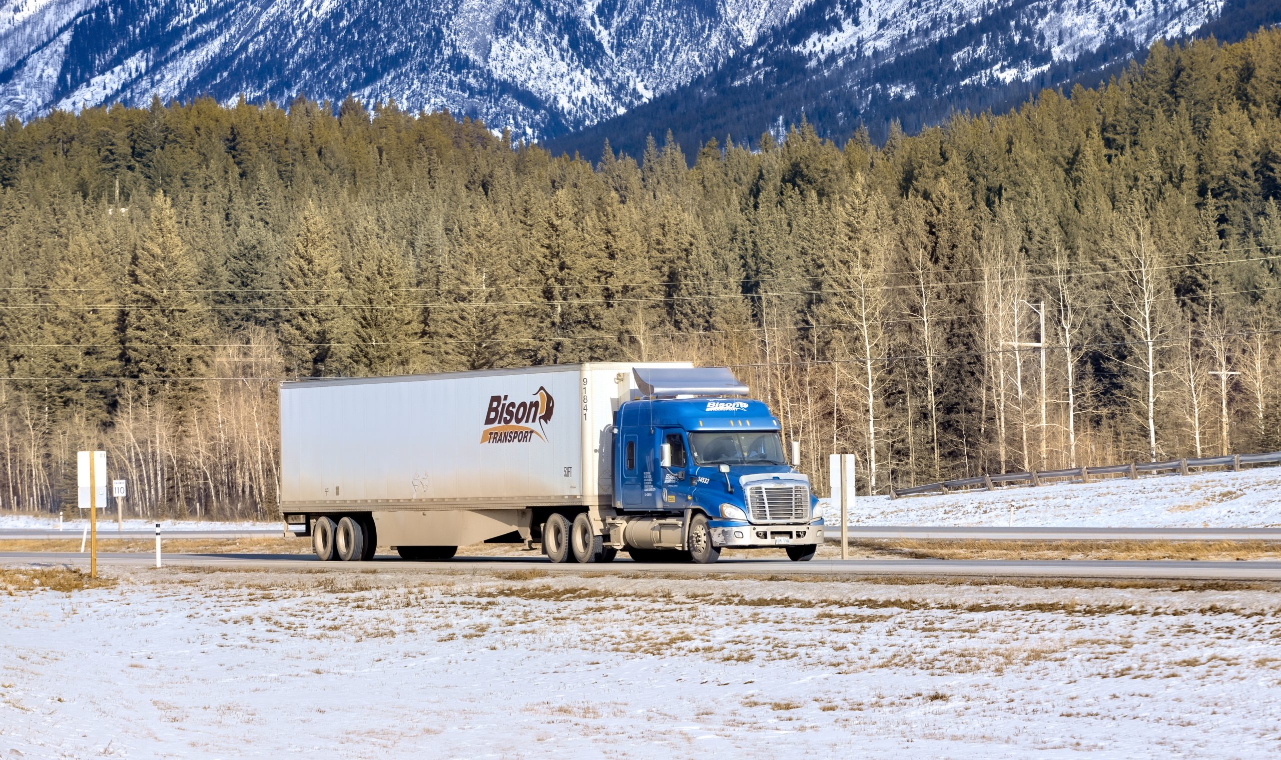 Bison and Schneider give a new year boost to their US trucking footprints -  The Loadstar