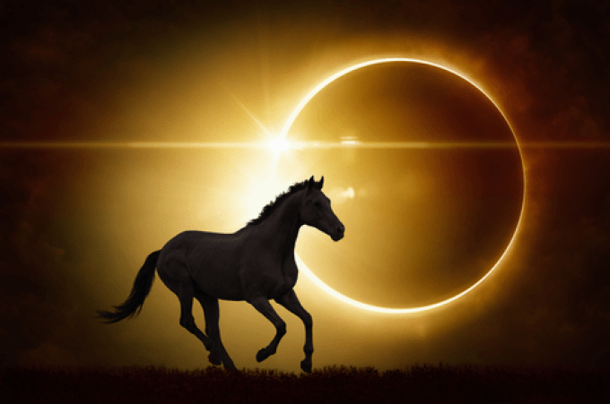 Dark Horse