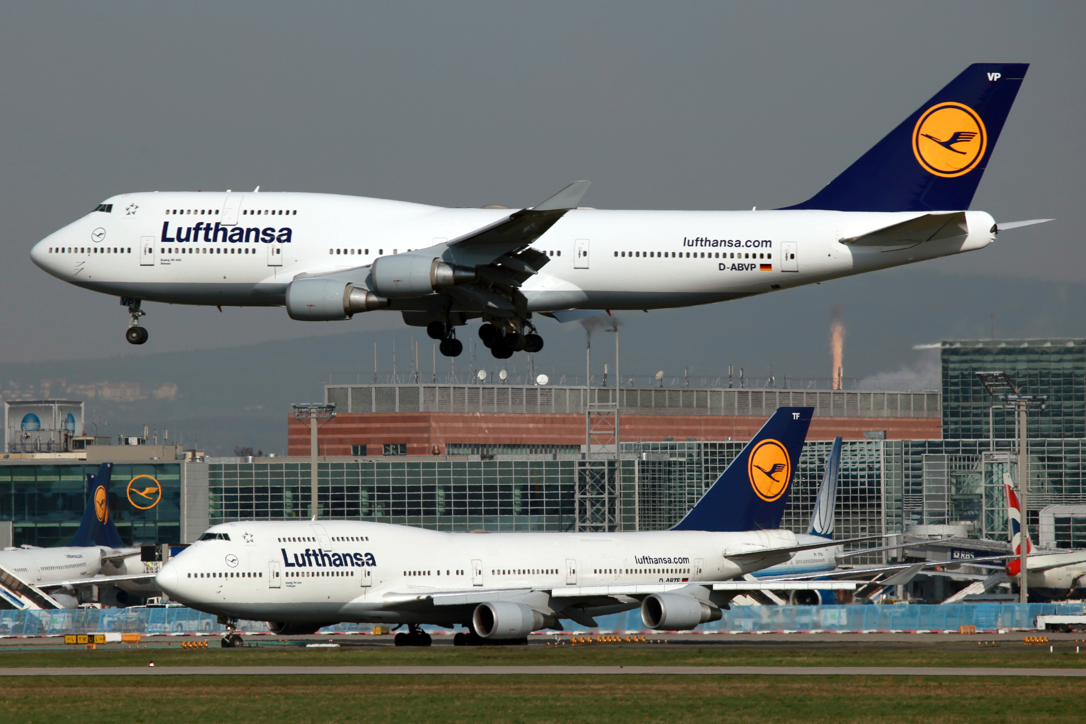 Lufthansa Cargo bans dry ice shipments on 747s to keep animals safer - The  Loadstar