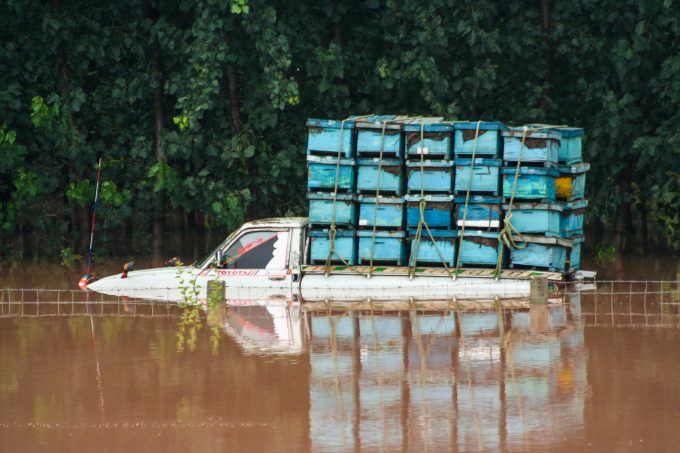 Pakistan Floods 2022 Photo 99271768 © Trentinness Dreamstime.com