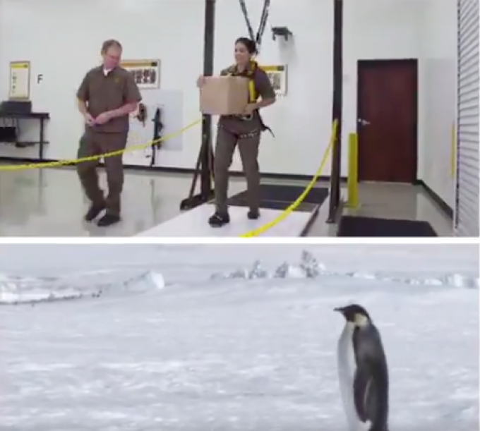 ups penguin