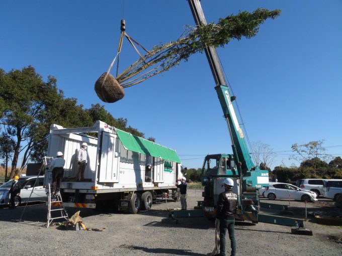 Tree loading into Mirai Green Cargo